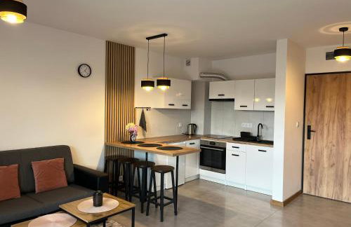 Wczasy Chmielno Apartament PUDROWY - Foto 1