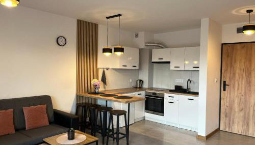 Wczasy Chmielno Apartament PUDROWY - Foto 1, stove