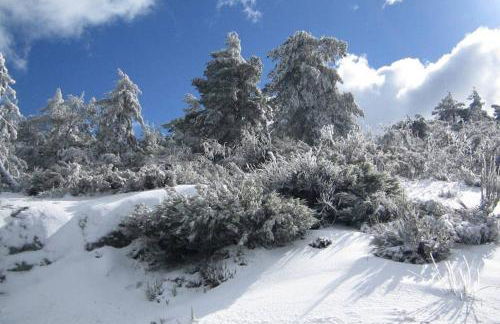 Casa Oeste - Photo 62