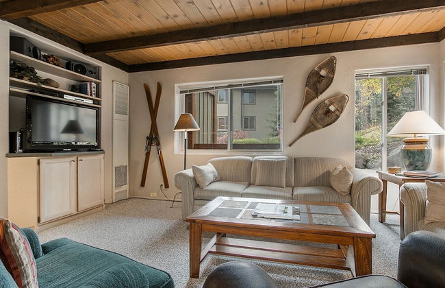 Willows Condos by Snowmass Vacations - Foto 26