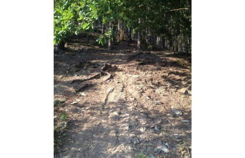 Jäschner Villa Luftig - Foto 30