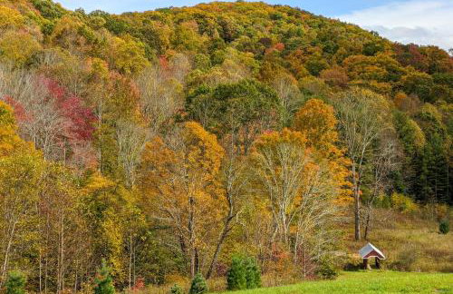 Hike, Ski and More Blue Ridge Mountain Escape - Photo 3