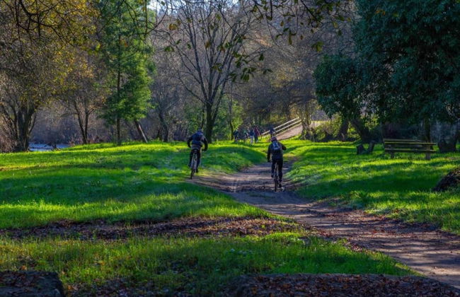 Holiday Home in Ponte de Lima With Pool - Foto 40