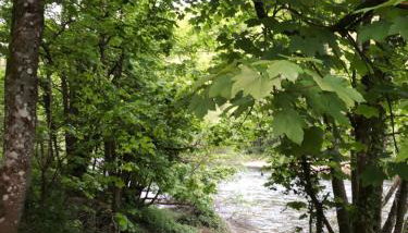 Symonds Yat - Herefordshire property with stunning views - Foto 3