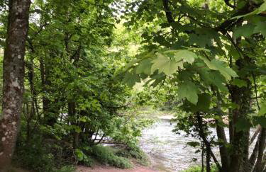 Symonds Yat - Herefordshire property with stunning views - Foto 3