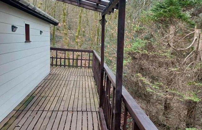 Chalet Vogelzang in the Ardennes - Foto 20