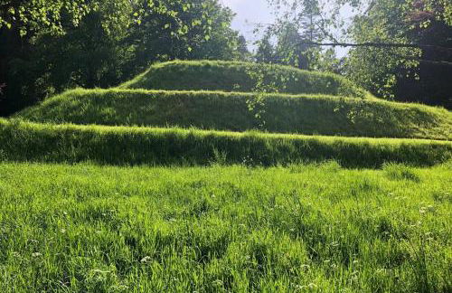 Barns Library - Foto 20