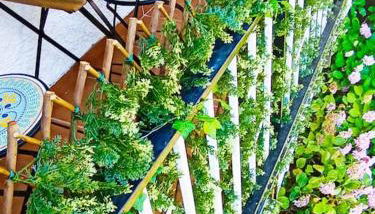 Precioso piso con increíbles vistas en Piedralaves, Tiétar - Photo 2, Garden view