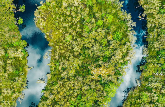 Habitat Noosa - Foto 32