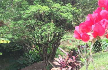 Vila da Sol Itaipava casas e estúdios - Foto 48