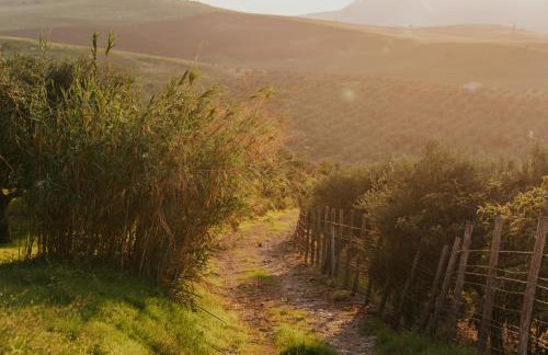 Terre Di Himera - Foto 125