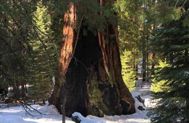 Delilah Ridge Winery Mid Mod Guesthouse - Foto 47