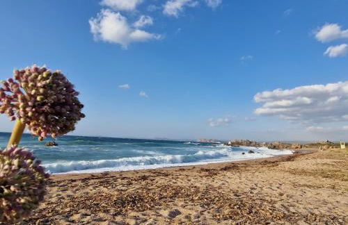 Sardegna segreta a pochi passi dal mare - Photo 15
