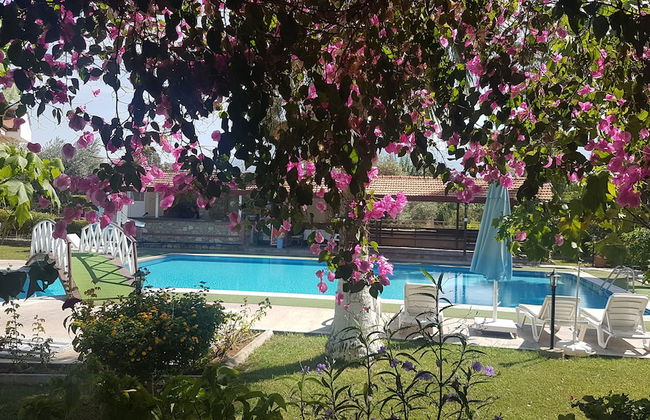 Lale Apart - Photo 33