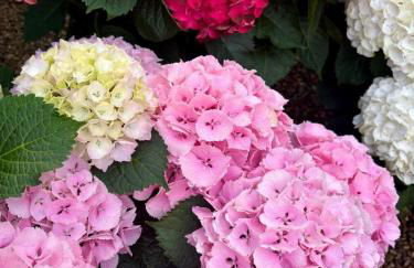 Torre Collevento Luxury Villa - Foto 10