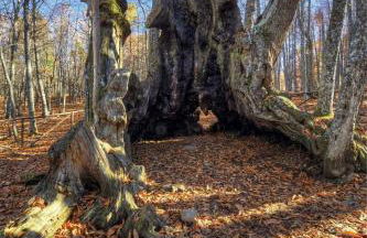 Apartamento Atalantar - Photo 61