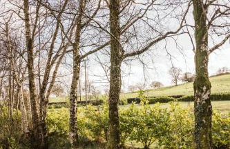 Valley Lodge Enniskillen - Foto 45