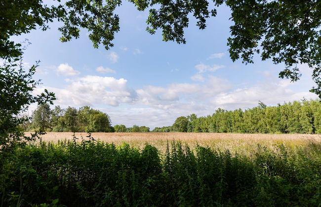 Huswell - Tranquil Retreat Cozy Chalet in the Heart of Urse - Photo 1