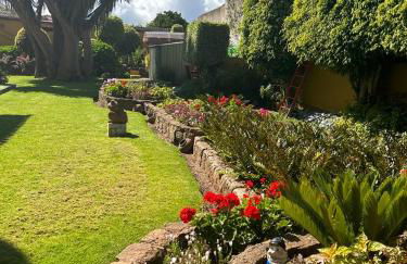 Finca El Trazo - Foto 38