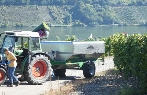 Hausboot Moselrose in Pölich - Foto 47