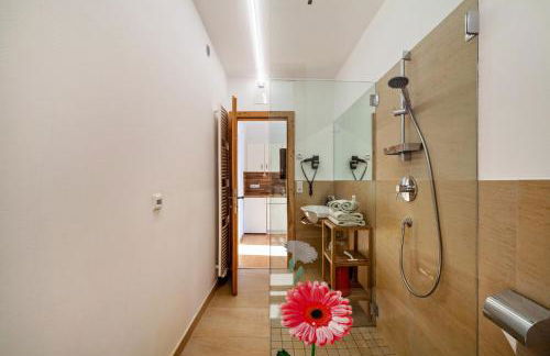 Langstein Wohnung Rose - Foto 15