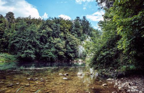 WOODEN HOUSE near the River Kupa - Foto 48