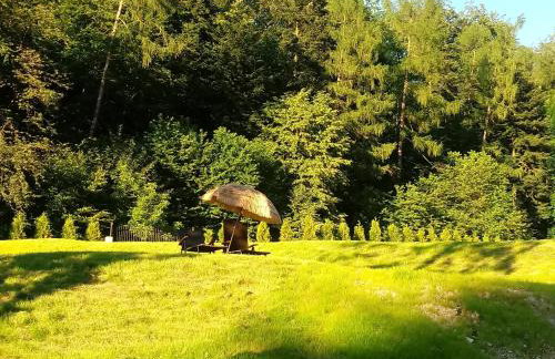 Kurort Kozubnik Apartament 33 Wellness &SPA - Foto 33