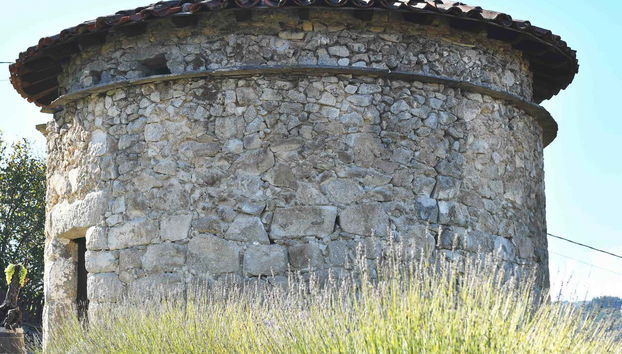 Casa Moreiras Winery Tour + Tasting - Foto 5