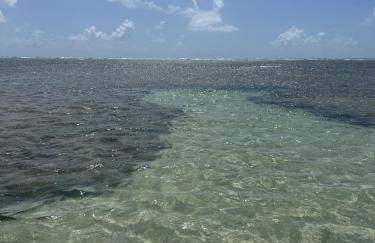 Casa Luxuosa em Maragogi - AL - Foto 22