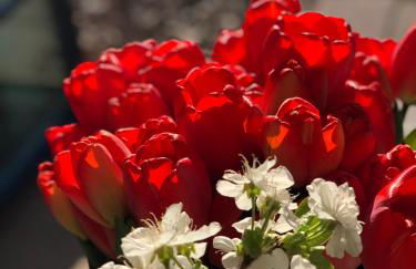 Reethus Linda - Foto 41