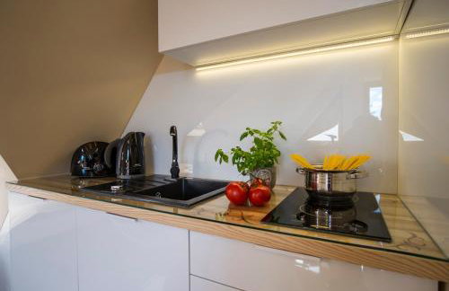 Apart-Center Zakopianskie Tarasy Spa - Photo 132