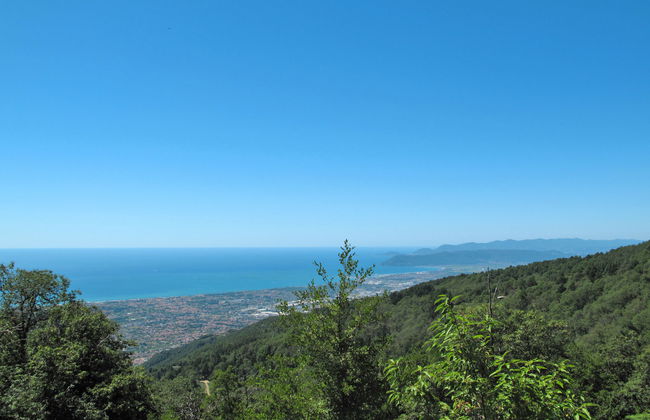 Le Ortensie - Foto 5