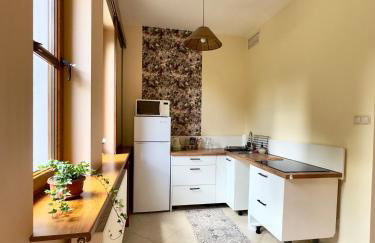 Pabianice studio Bracka - Foto 6