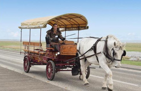 Lovely Home In Fierville-Les-Mines - Foto 35