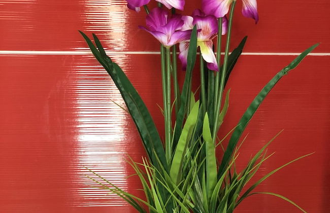 Casa da fonte - Foto 62