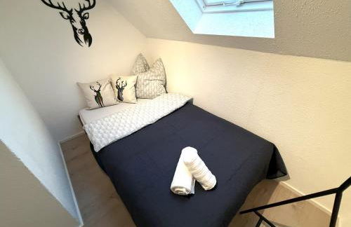 Natur-Apartment am Großen Arber Netflix WIFI - Foto 31