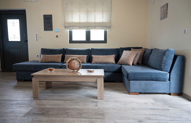 Olive Tree - Foto 16