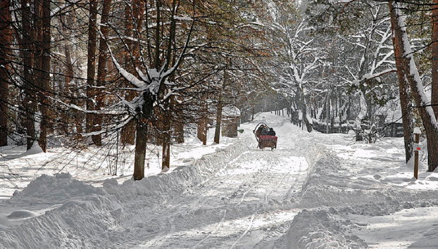 Besuch des Rigaer Ethnographischen Freilichtmuseums - Foto 4