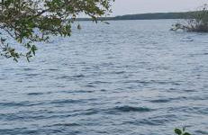 Boho Oasis 2 - Foto 11