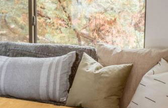 EVERGREEN LODGE+SKI - Foto 35