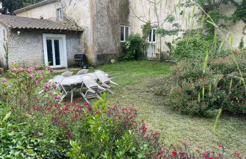 les bambous - Photo 1