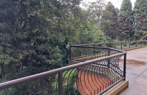 Monte Bianco - Foto 4