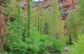 Casa Rural Camino de la Fuente - Foto 45