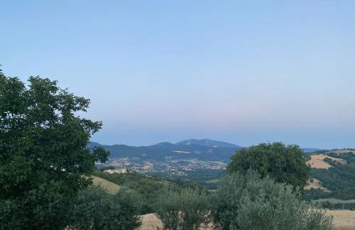 Casa vacanze fra gli ulivi - Foto 49