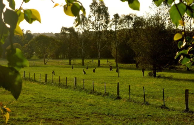 Silverpoint Estate - Foto 24