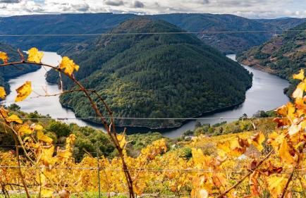 Casa El Mirador del Miño en la Ribeira Sacra - Foto 12