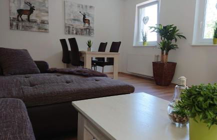 Ferienwohnungen Eismecke - Foto 16