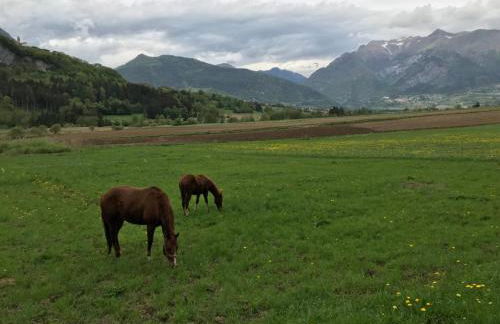 AGRITURISMO MASO PERTENER -adults friendly- - Foto 72