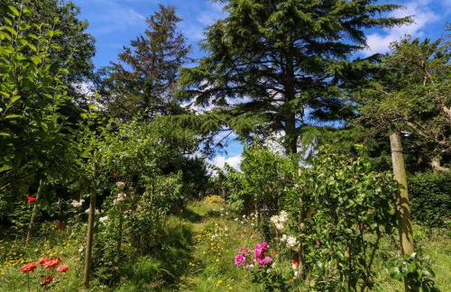 Little Timbers - Foto 45