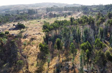 Quinta da Lapa do Gato - Foto 48